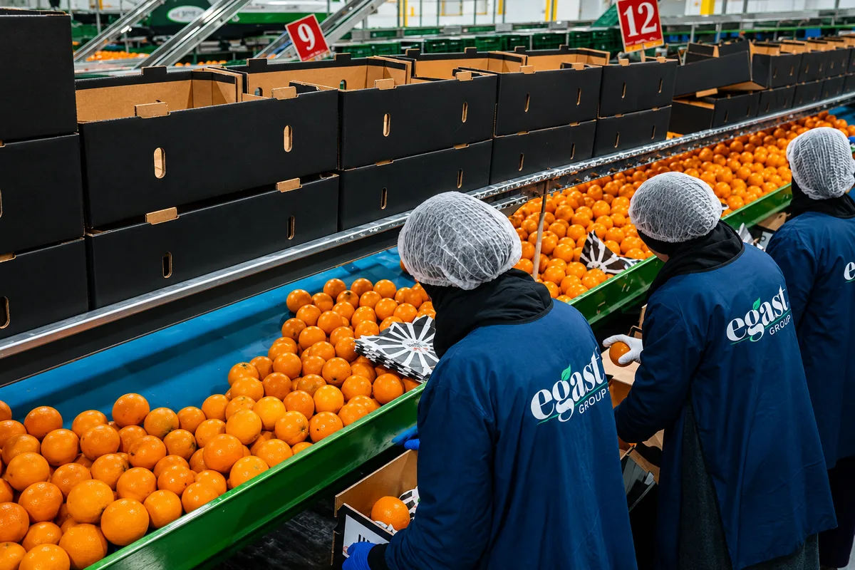 EGAST Corporate Social Responsibility