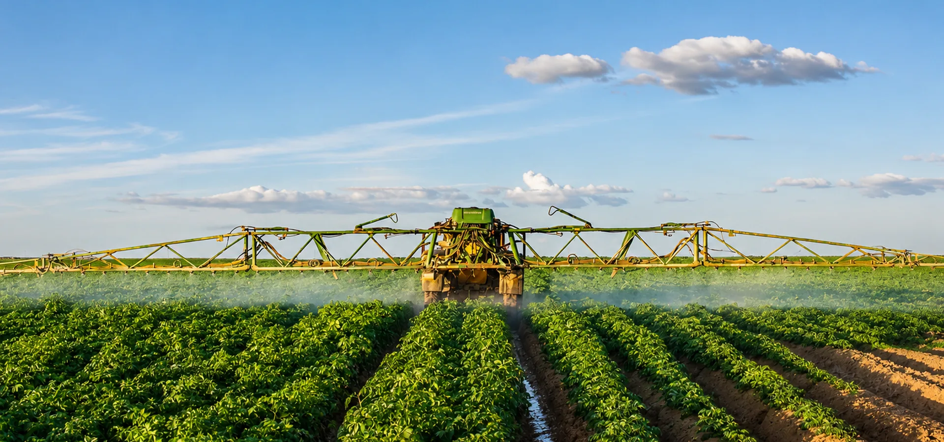 Stories from Our Farms and Global Markets