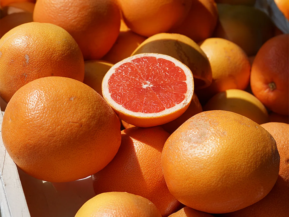 Grapefruit