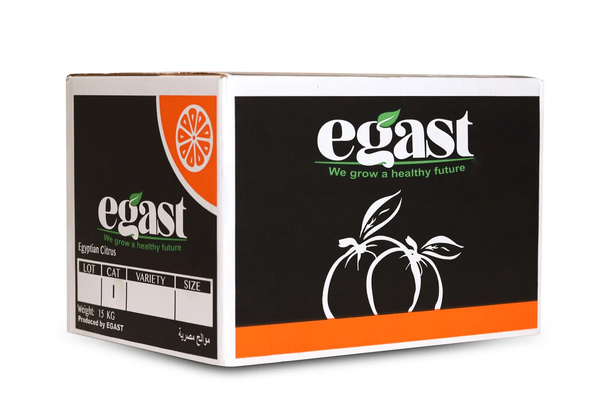 EGAST branded citrus export carton