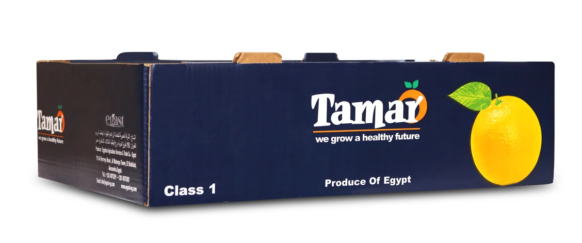 EGAST export packaging for fresh produce