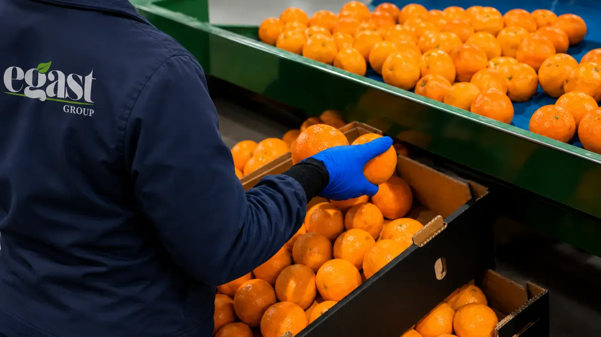 EGAST global fresh produce markets
