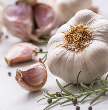 Garlic